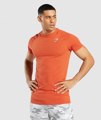 T Shirts Męskie Gymshark Vital Light Seamless Pomarańczowe | PL 3845AHK